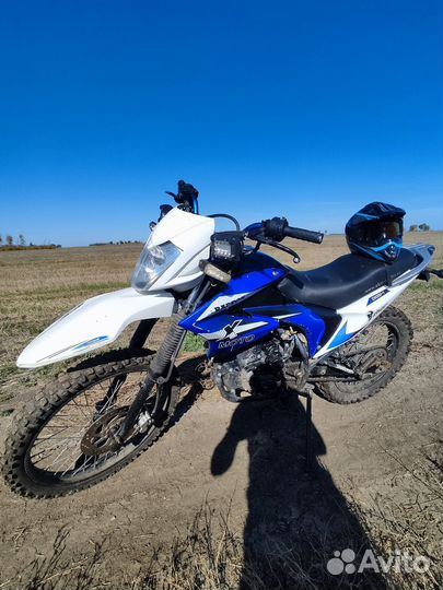 Xmoto raptor 200ZW250-1