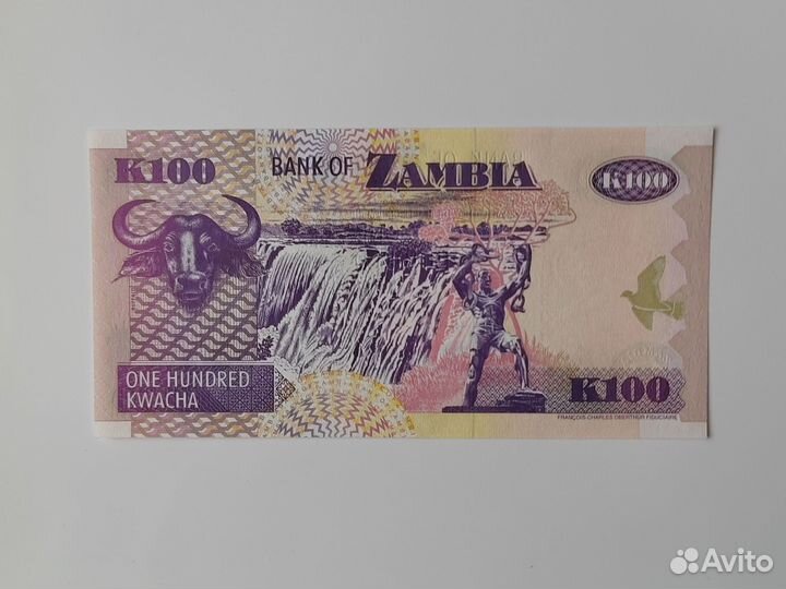 Банкноты африки