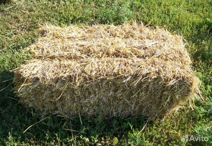 Сено в кипах