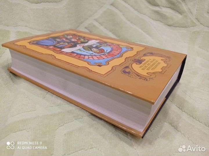 Нидерланды 16 век, Сергиенко, Феличе, Раабе