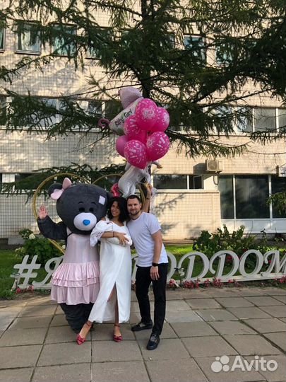 Мишка Тедди на праздник+экспресс поздравление