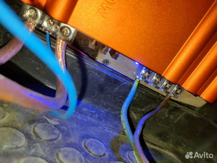 Dl grifon lite 1.1000