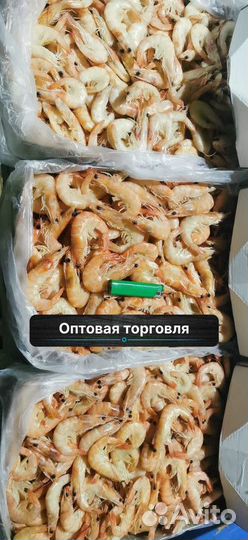 Креветки свежезамороженные
