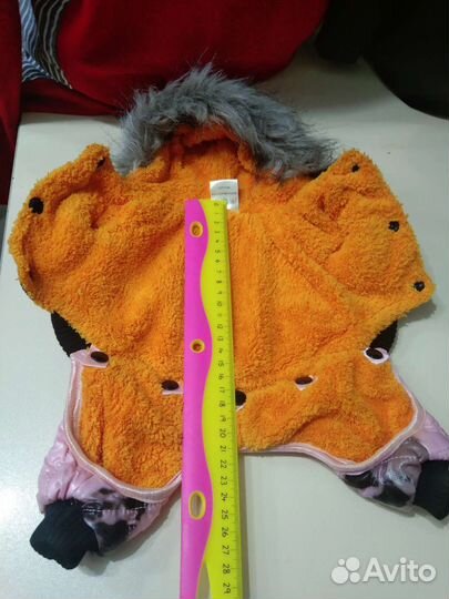 Одежда для животных