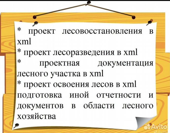Услуги в области лесного хозяйства