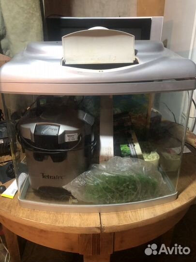 Аквариум