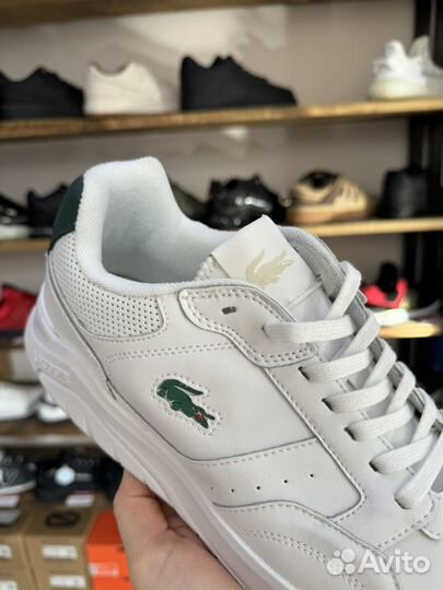 Кроссовки мужские lacoste белые