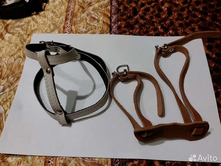 Шлейки для собаки