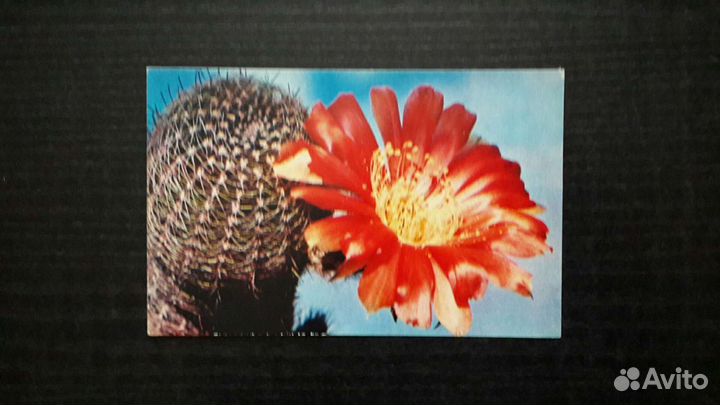 Комплект открыток 