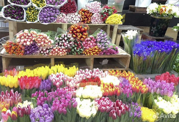 Живые цветы, букеты, тюльпаны