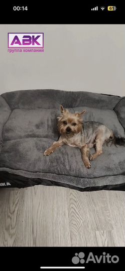 Лежак для собаки крупной и средней породы