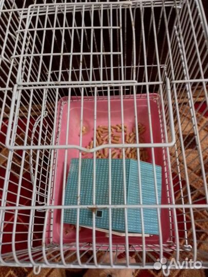 Клетка для грызунов