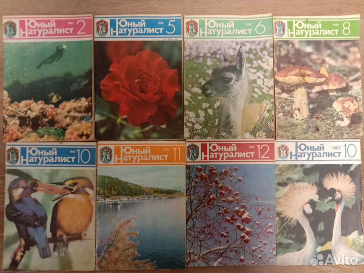 Журналы Muscle Fitness, Total DVD, Хулиган, Хакер