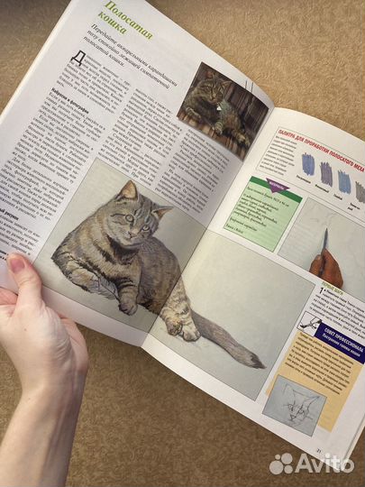 Учебное пособие по рисованию