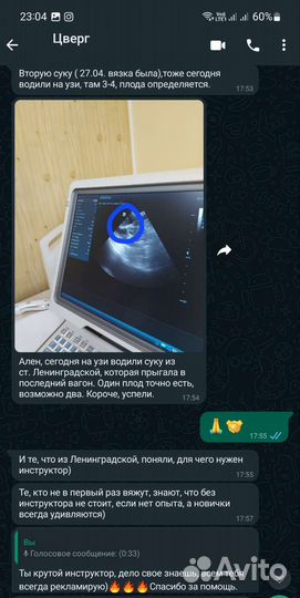 Инструктор по вязки собак