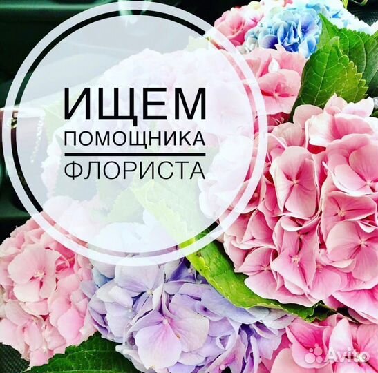 Работа помощник флориста