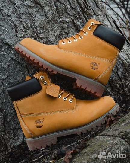 Ботинки Timberland 6 Inch Premium Boot 