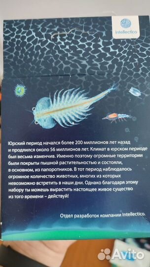 Детская игра. Набор для выращивания живых рачков