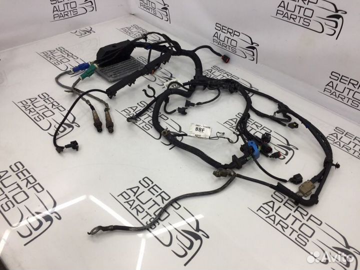 Подкапотная проводка Ford Focus 2 CB4 1.6 100Л/С