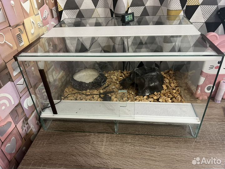 Террариум для эублефара