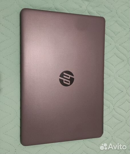 Ищю нового хозяина или хозяйку