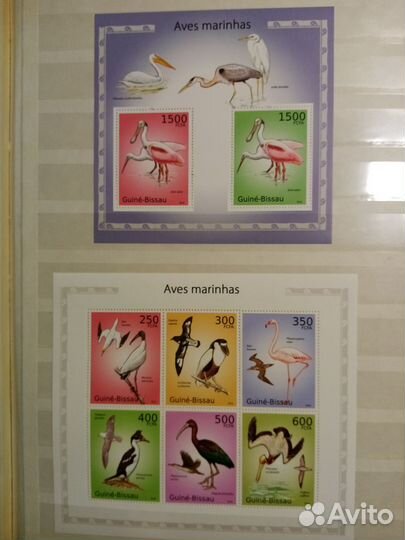 Почтовые марки зарубежных стран. Птицы