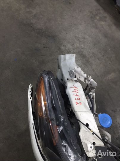 Ноускат Honda Accord 8