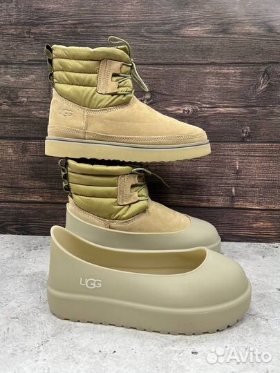 Ботинки ugg с голошами женские premium