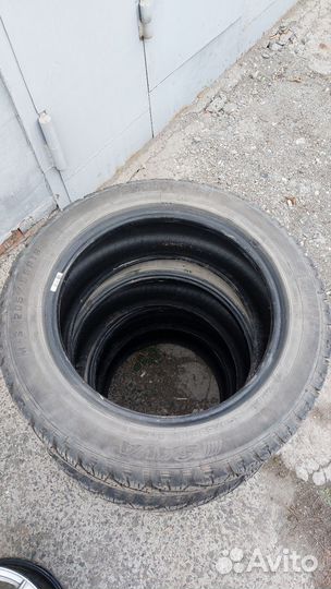 Sava Eskimo Ice 205/55 R16