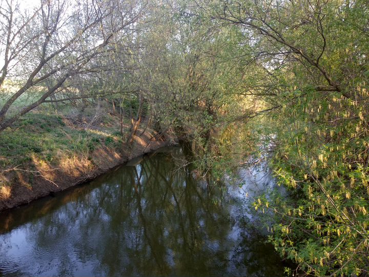 Участок 22,5 сот. (ИЖС)