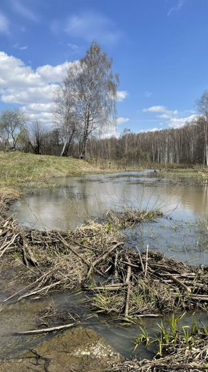 Участок 18,5 га (СНТ, ДНП)