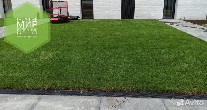 Рулонный газон