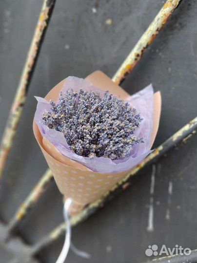 Букет из лаванды, сухоцветы