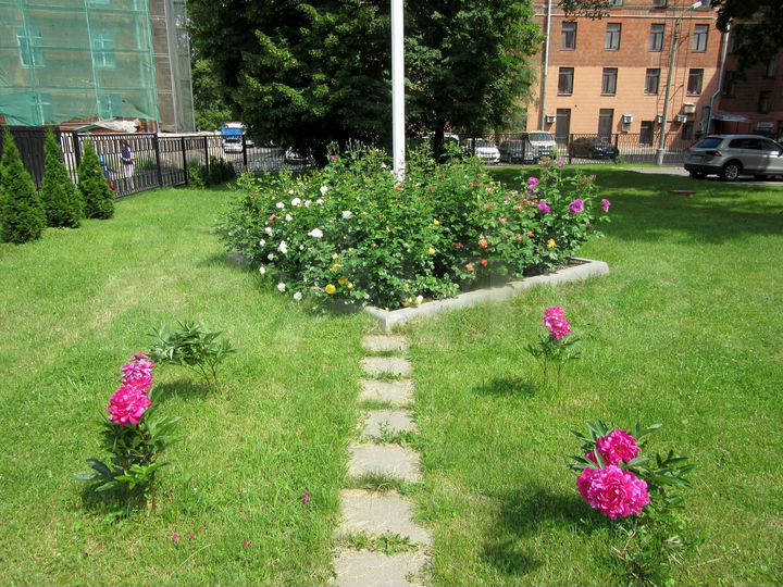 Торговая площадь, 239.4 м²