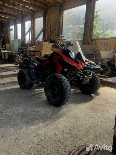 Продам рысь150