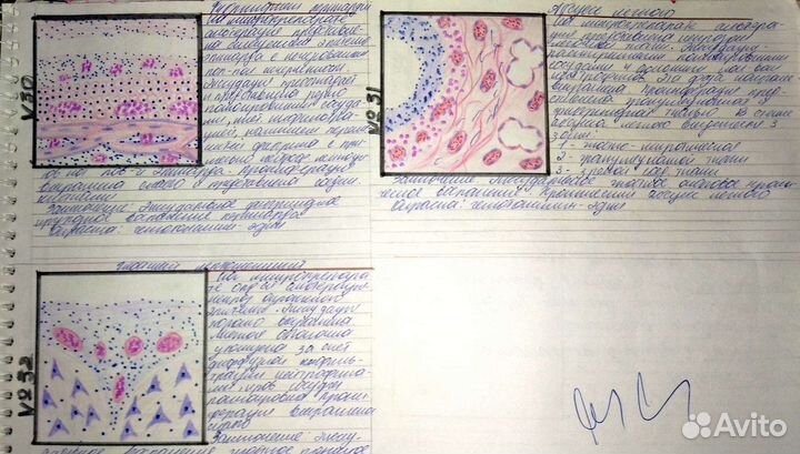 Пишу конспекты