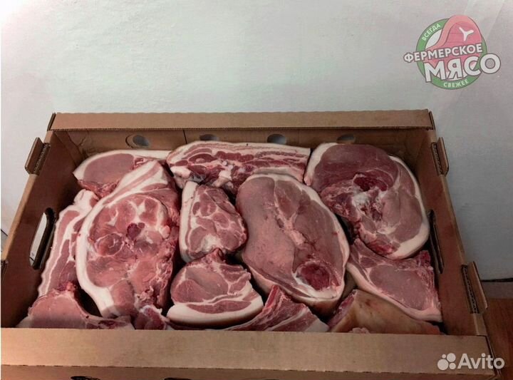 Мясо свинина