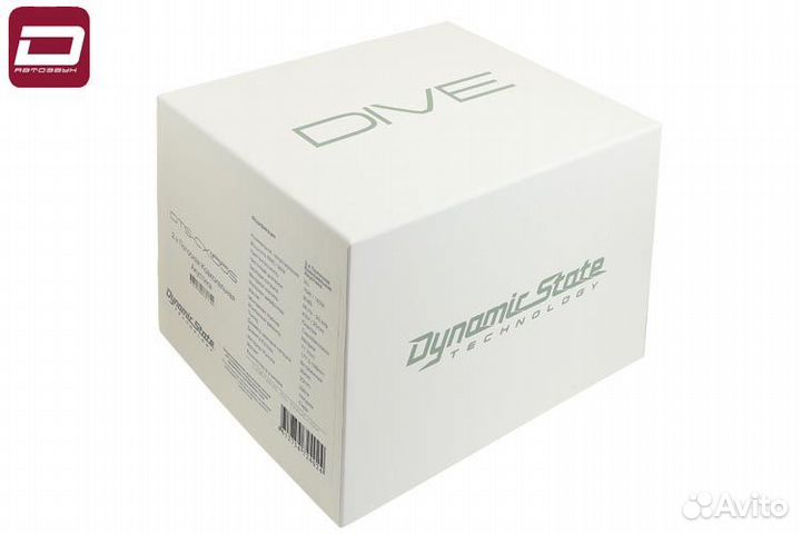 Dynamic State DTS-CX165S 2-х полосная коаксиальн