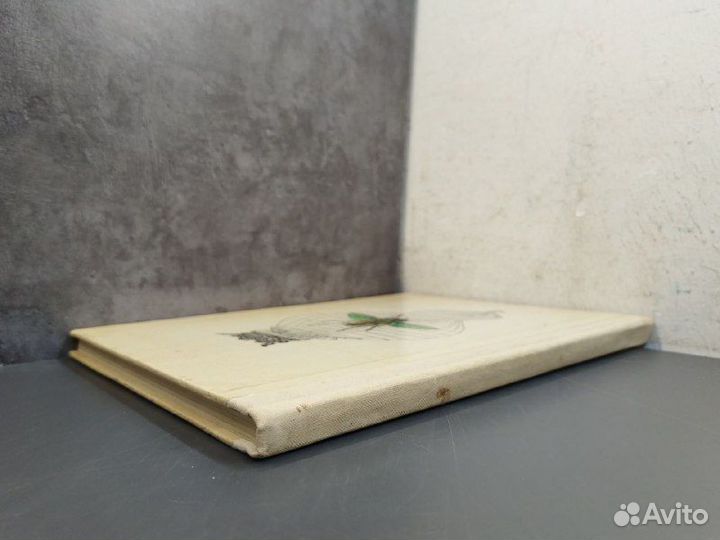 Майлен Константиновский. Коапп. Выпуск 1