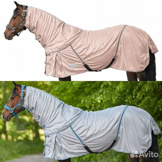 Конная амуниция,Экипировка для всадника