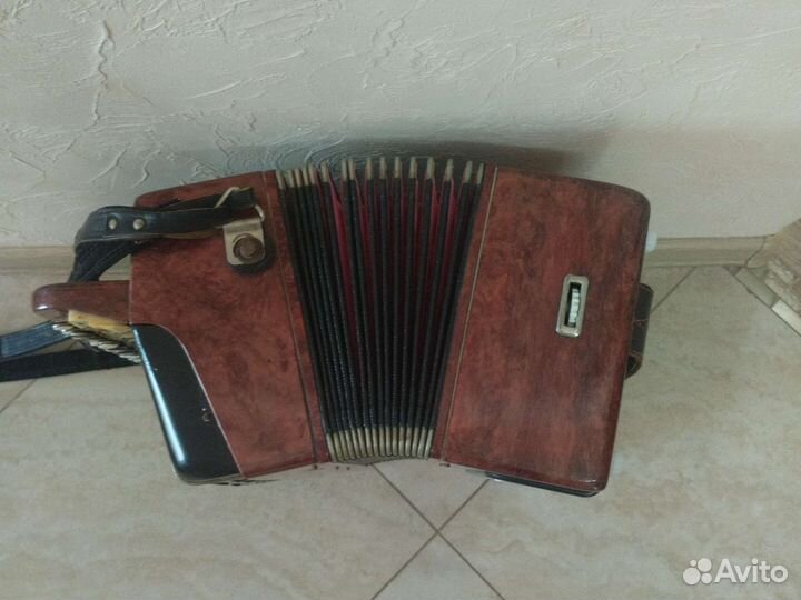 Баян тульский