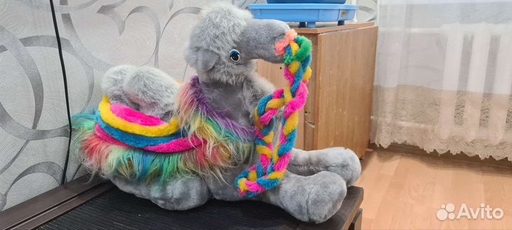 Верблюд мягкий