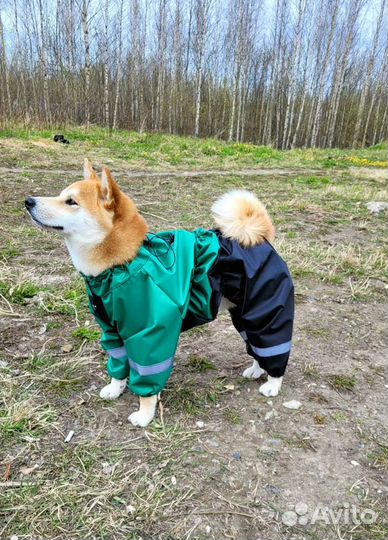 Комбинезоны дождевики для средних / крупных собак