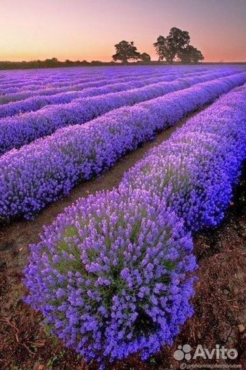 Работник склада с еженедельной оплатой