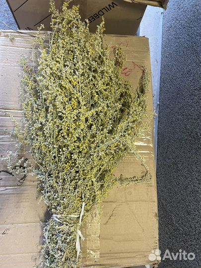 Банные веники,травы