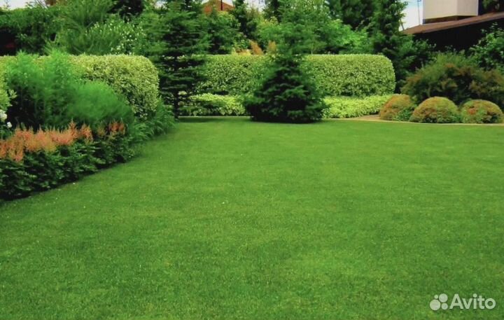 Грунт плодородный, перегной, торф