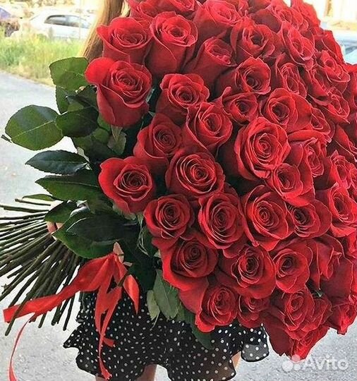 Розы Цветы Букеты 25 51 151 201 101 301 501 опт