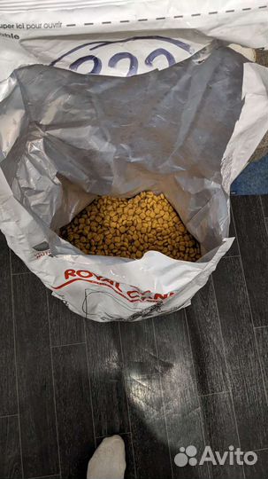 Корм для собак роял канин c o