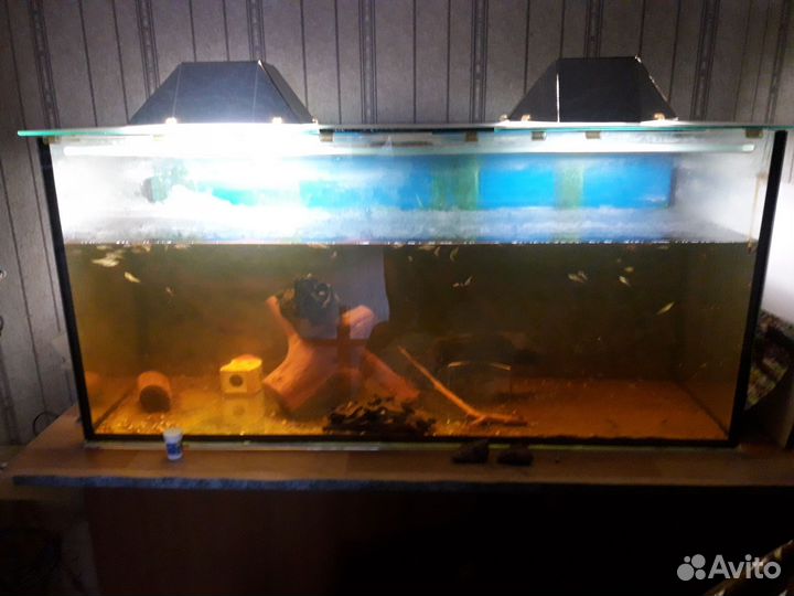Аквариум