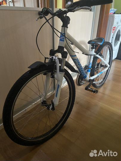 Mongoose rockadile 24